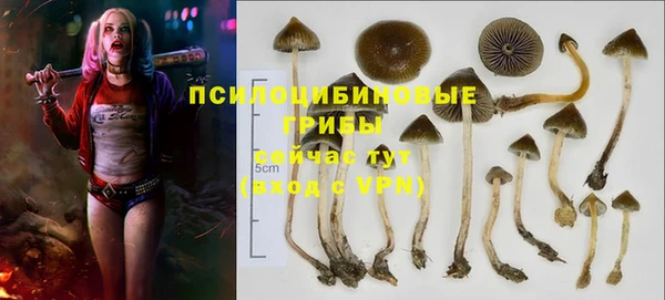 молекула духа Алзамай
