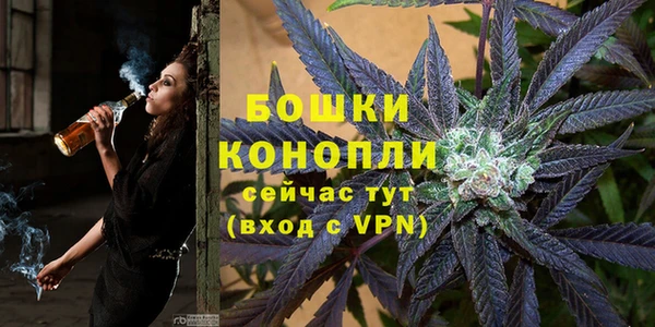 молекула духа Алзамай