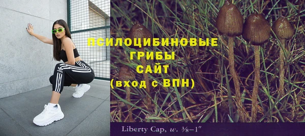 эйфоретик Алексин