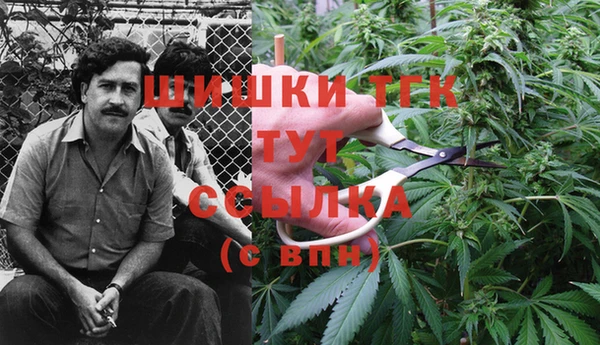 молекула духа Алзамай