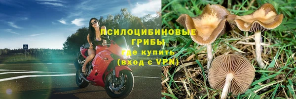 каннабис Алексеевка